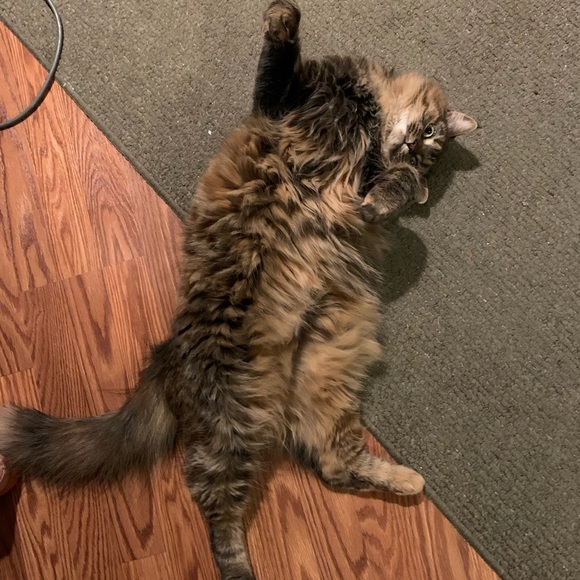 Meet your Posher, D - Picture 4 of 5